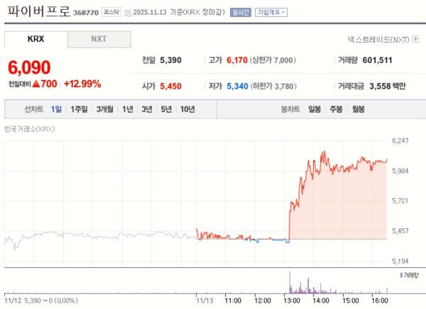 파이버프로 13일 주가 변화 [자료=네이버증권]